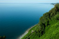 botanical garden with sea view