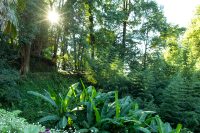 botanical garden scenery